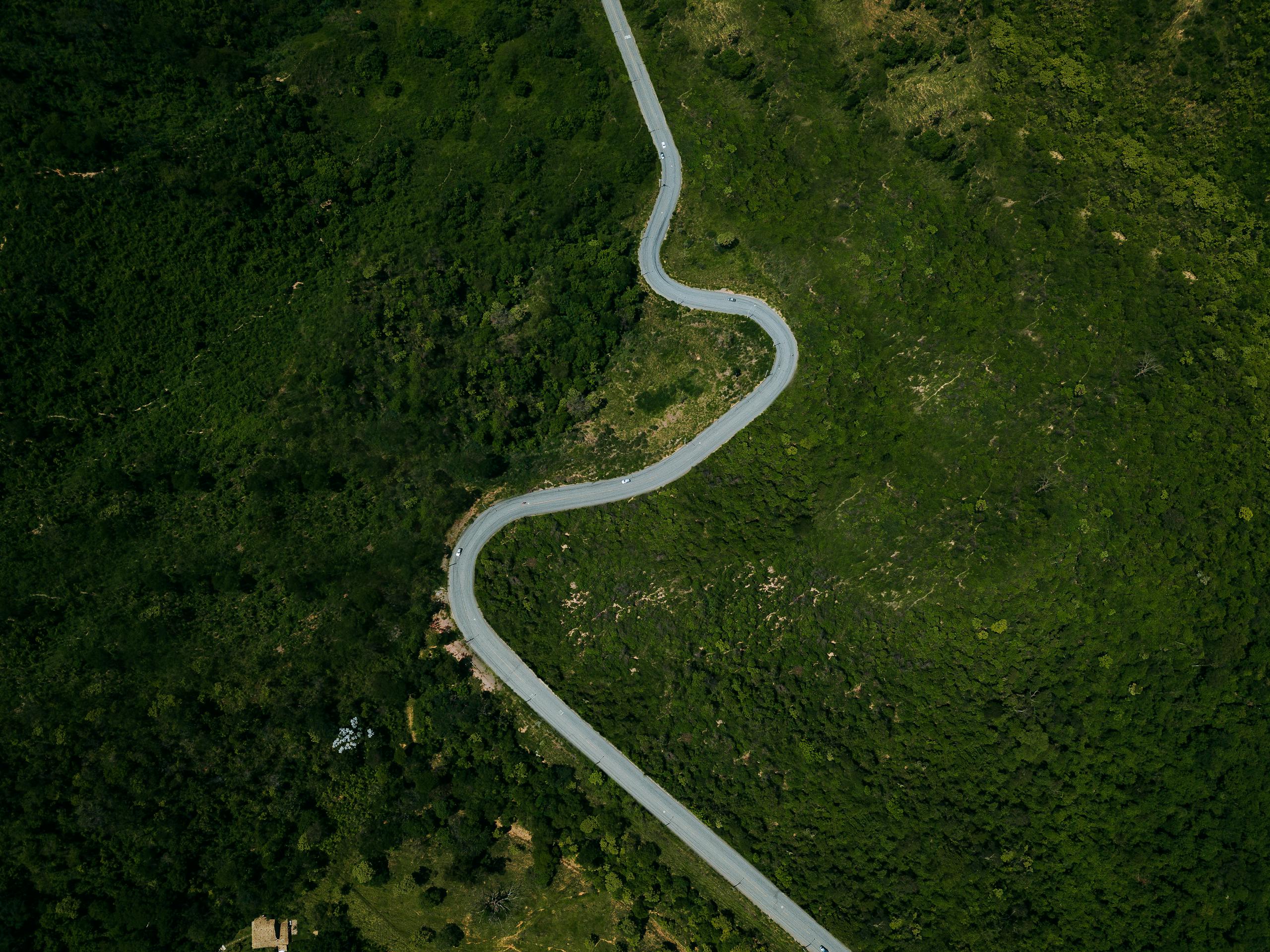Aerial view of a winding road cutting through vibrant green foliage in Brazil's MG region.