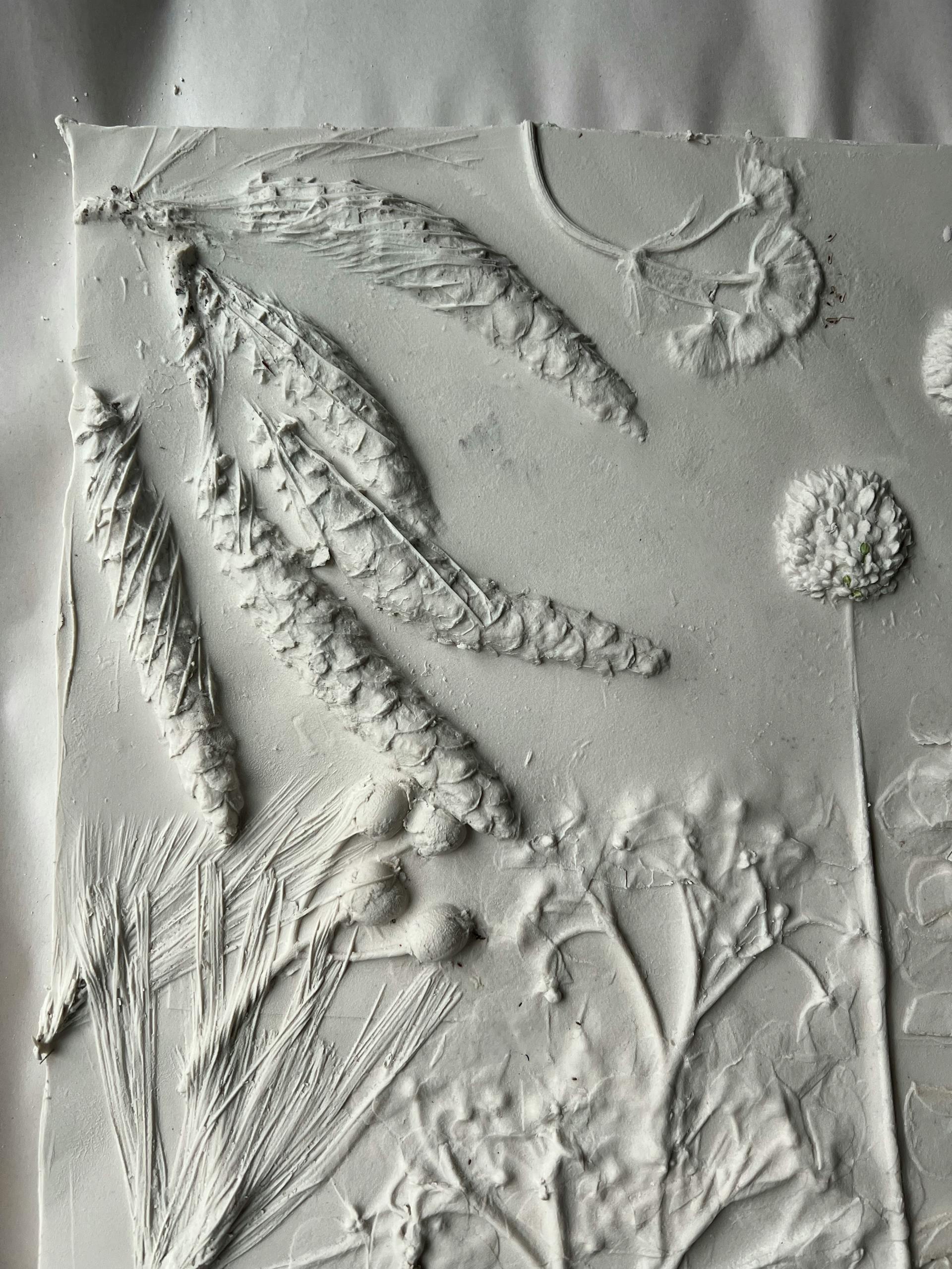 A detailed white plaster relief featuring various botanical textures and forms.