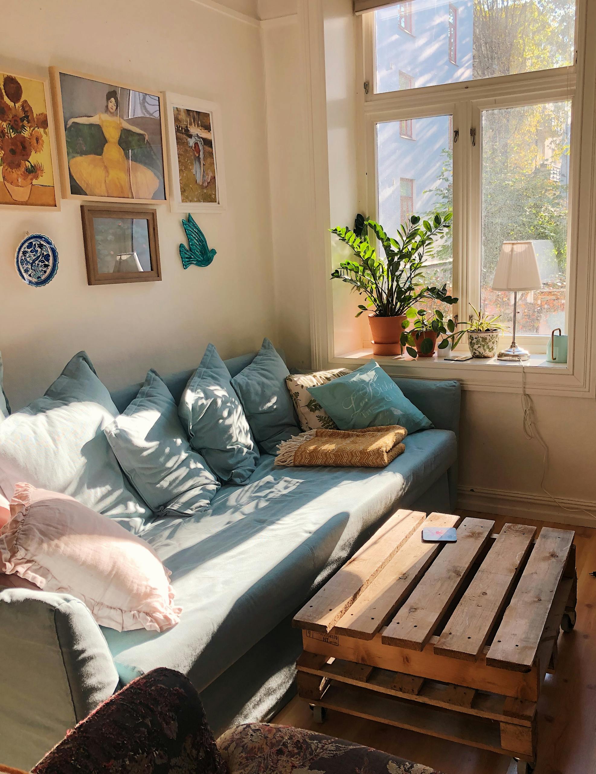 Bright and inviting living room with a blue sofa, wooden table, and decor plants by the window.