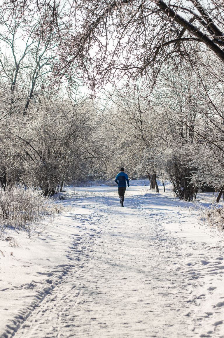 A lone runner navigates a snowy trail surrounded by frosted trees in a winter forest landscape.