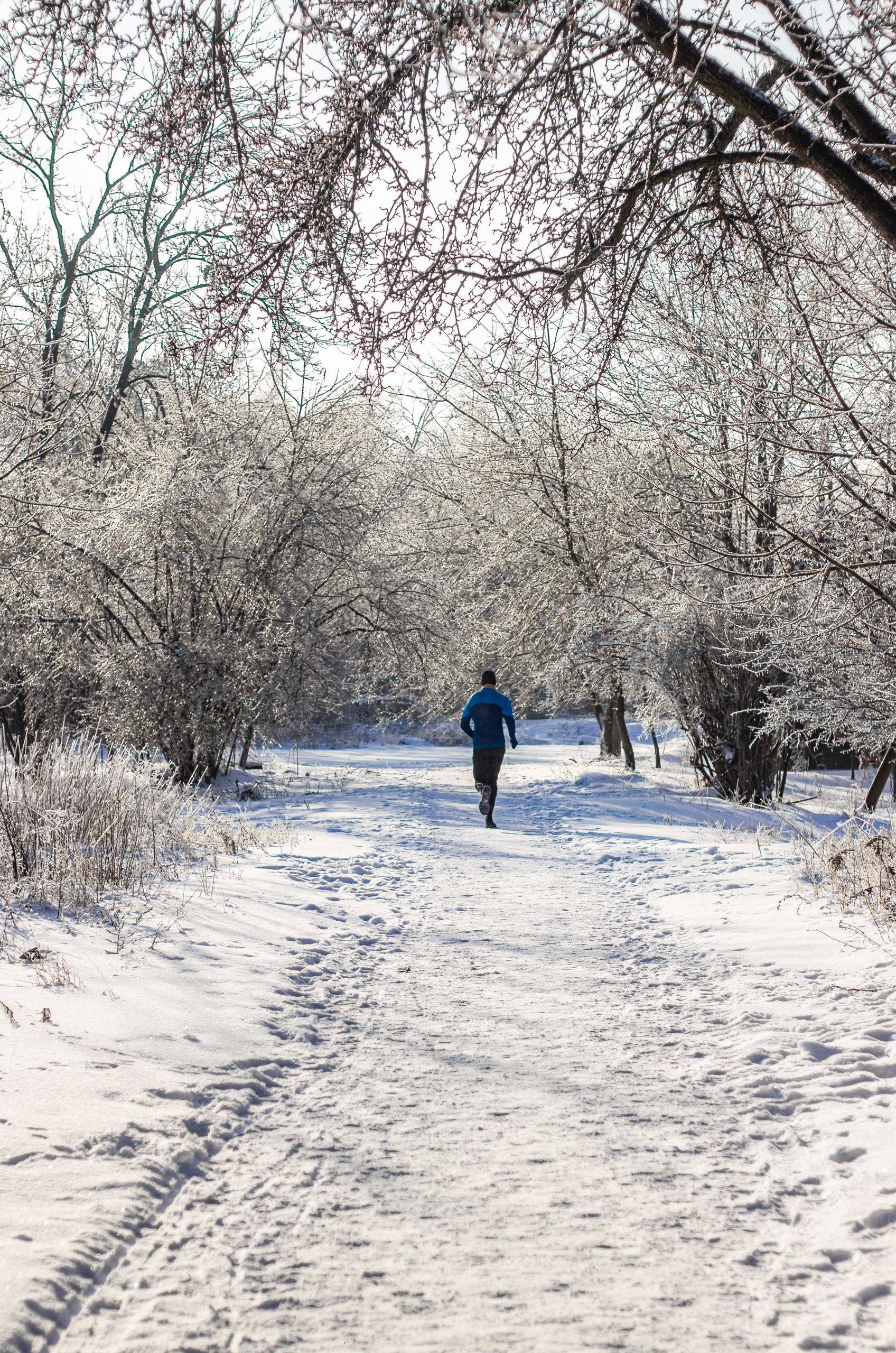 A lone runner navigates a snowy trail surrounded by frosted trees in a winter forest landscape.