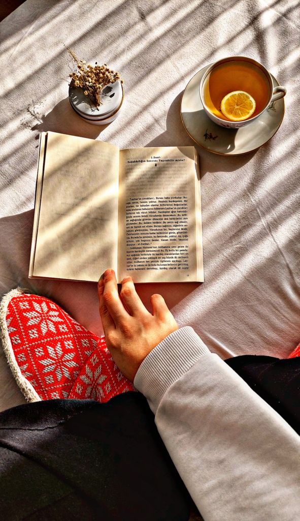 A peaceful morning scene of reading a book with tea in warm sunlight.