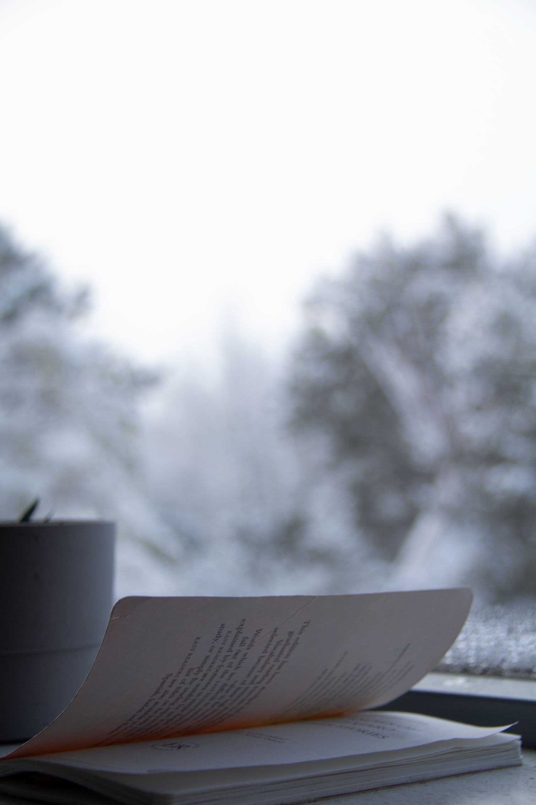 A serene winter scene with a blurry background and a december journal prompts on a window sill.