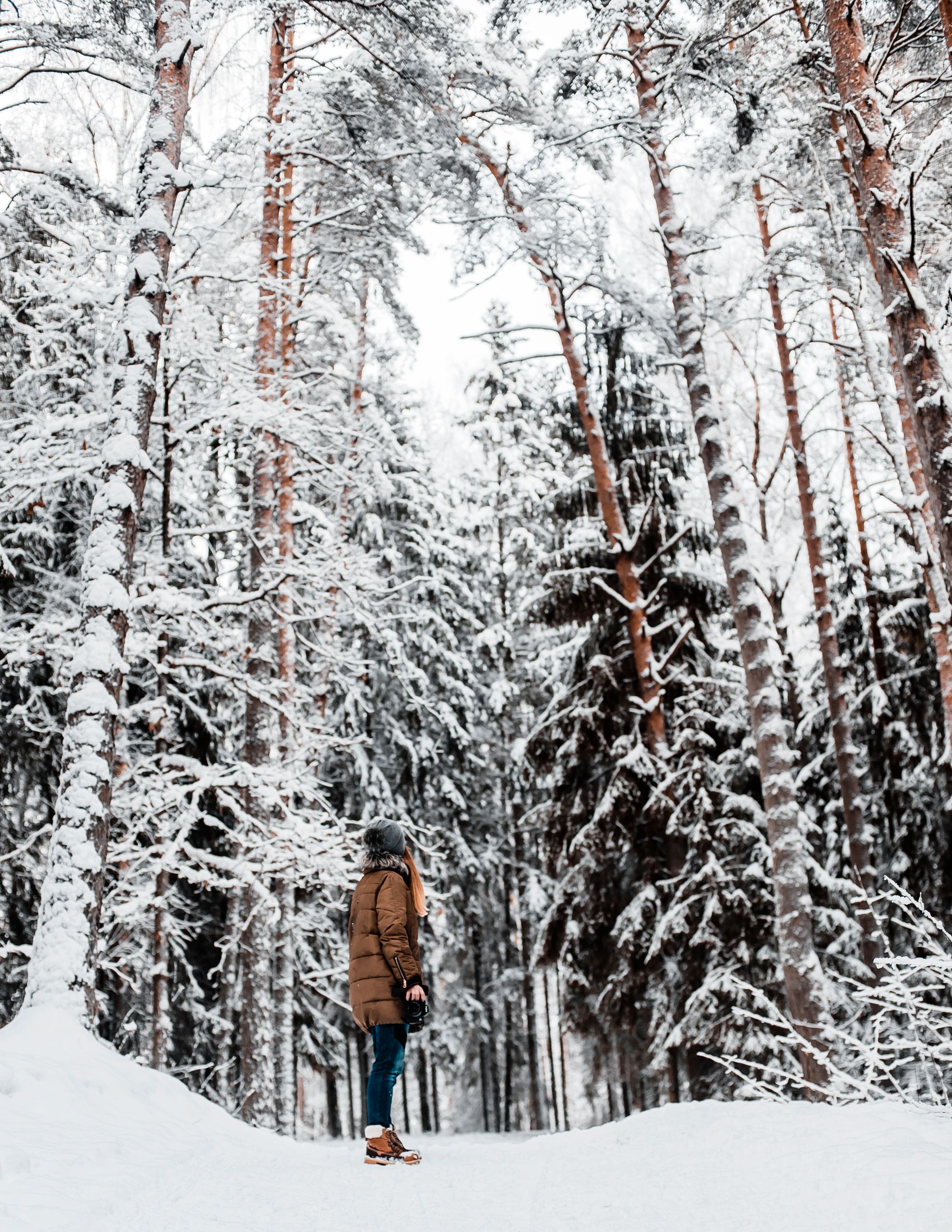 A woman stands in a snowy forest surrounded by tall trees in winter.