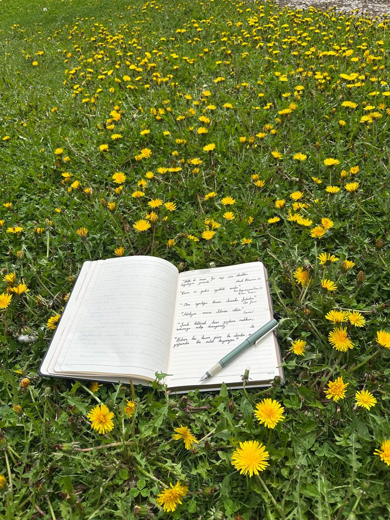 An open notebook with handwritten notes lies on grass surrounded by blooming yellow dandelions.