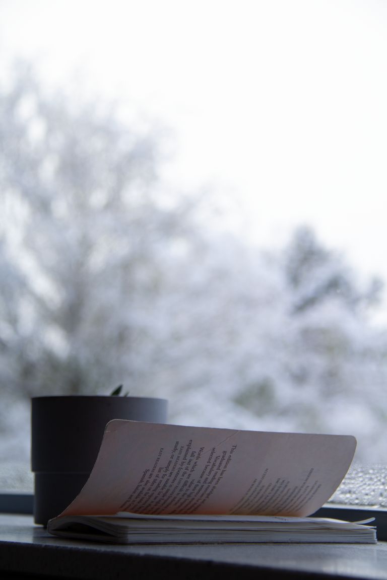 Book and plant by a window with a snowy backdrop, ideal for relaxation themes.