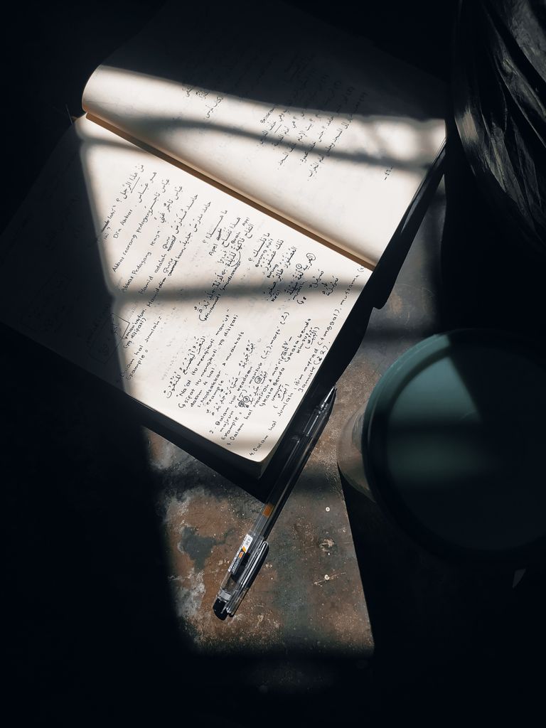 Open notebook with pen in dramatic sunlight, capturing a contemplative mood.