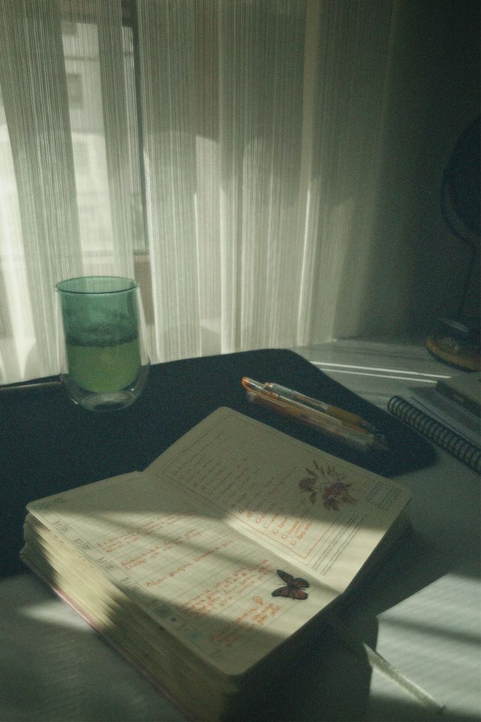 Sunlight streams onto an open notebook sunday reset journal prompts