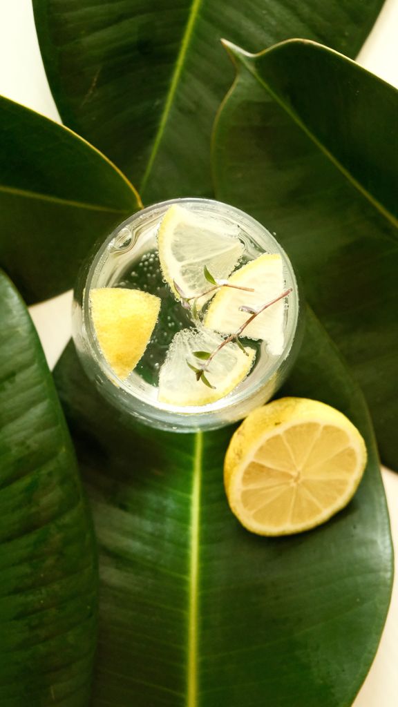 Top view of a chilled lemonade glass with lemon slices on tropical leaves.