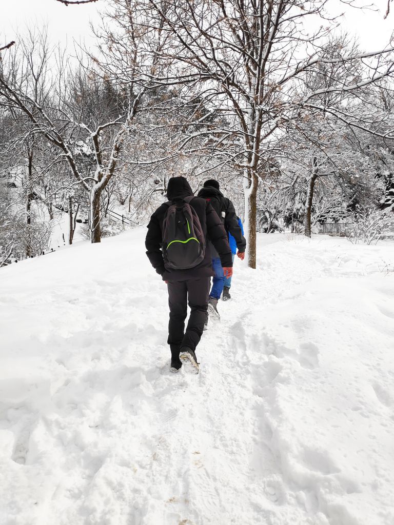 Two backpackers hiking through a snow-covered winter forest, showcasing adventure and nature.