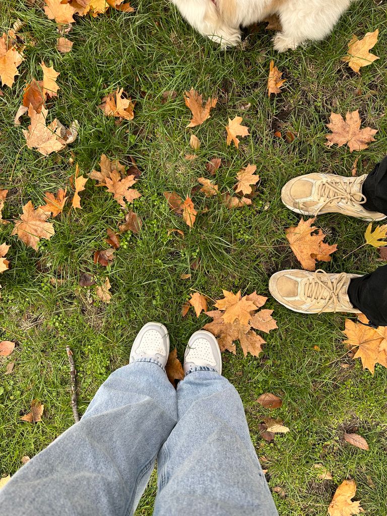 Two pairs of shoes standing on grass covered in autumn leaves with a dog visible.