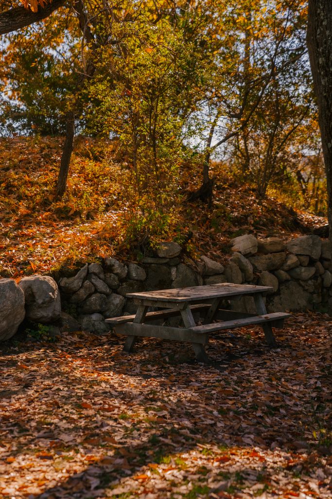 Wooden shabby table in forest with tall trees and fallen leaves on ground and stone barrier in autumn day in nature